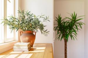 Imagem para o artigo: Faux Pas No More: Farmhouse Kitchen Plants That Actually Look Good
