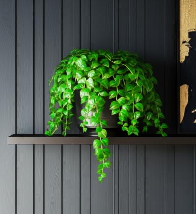 Is Shiplap DEAD? The Ultimate Modern Farmhouse Decor Guide